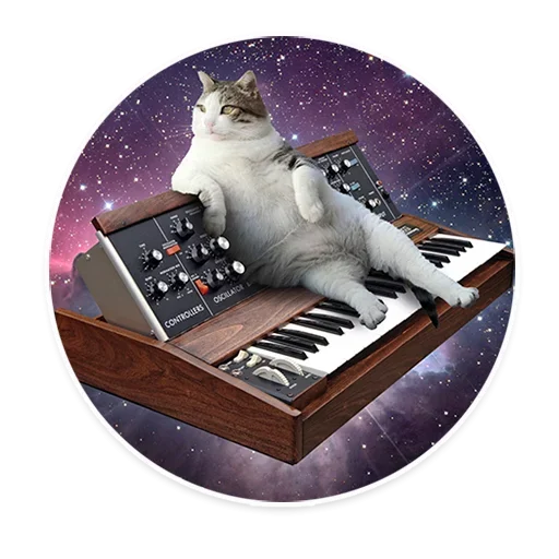 🥺 Стикер «Space Cats» для Telegram