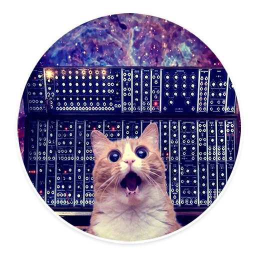 😓 Стикер «Space Cats» для Telegram