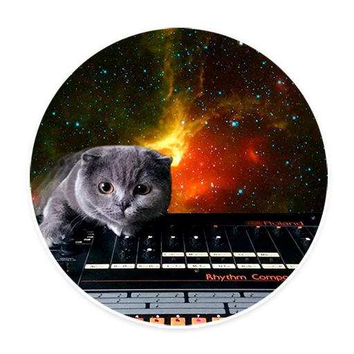 😓 Стикер «Space Cats» для Telegram
