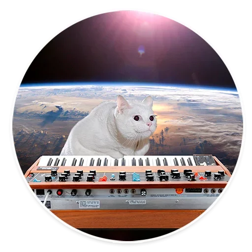 😘 Стикер «Space Cats» для Telegram