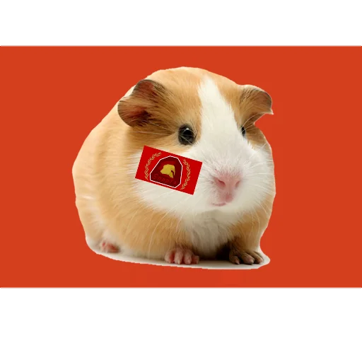 🚩 Стикер «Sпартанские стикеры» для Telegram