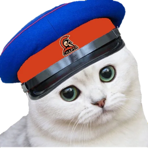 🥺 Стикер «Sпартанские стикеры» для Telegram