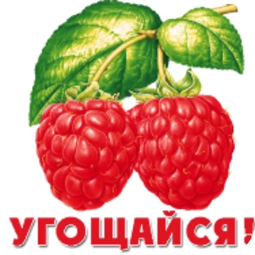 🍲 Стикер «Спасибо» для Telegram