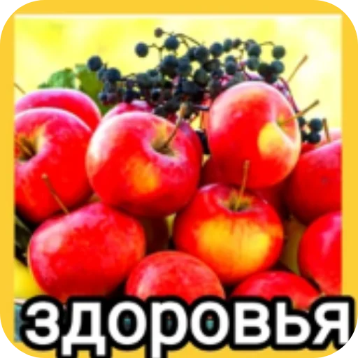 🍲 Стикер «Спасибо» для Telegram