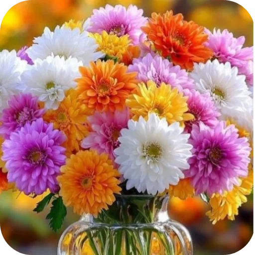 🌸 Стикер «Спасибо» для Telegram