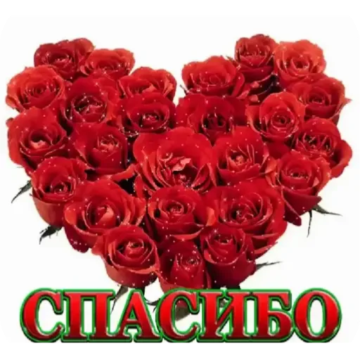 🌸 Стикер «Спасибо» для Telegram
