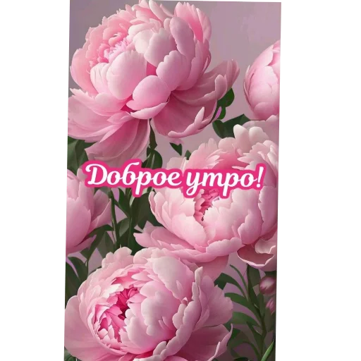 🌸 Стикер «Спасибо» для Telegram