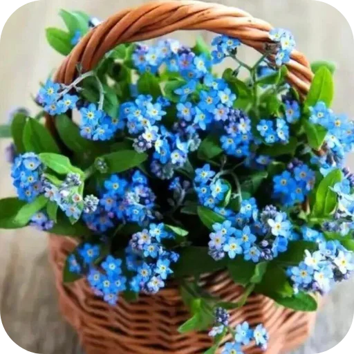 🌸 Стикер «Спасибо» для Telegram