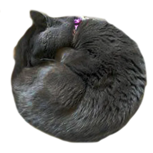 🥺 Стикер «Sleepy» для Telegram
