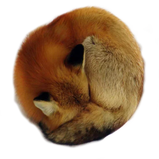 Стикерпак Sleepy для Telegram — скачать