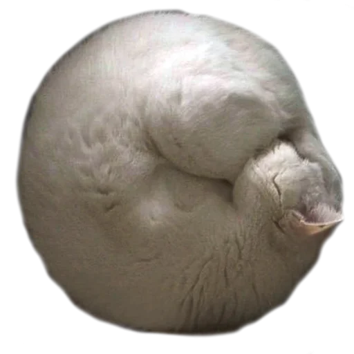 🥺 Стикер «Sleepy» для Telegram
