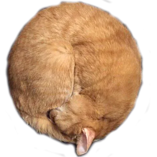 🥺 Стикер «Sleepy» для Telegram