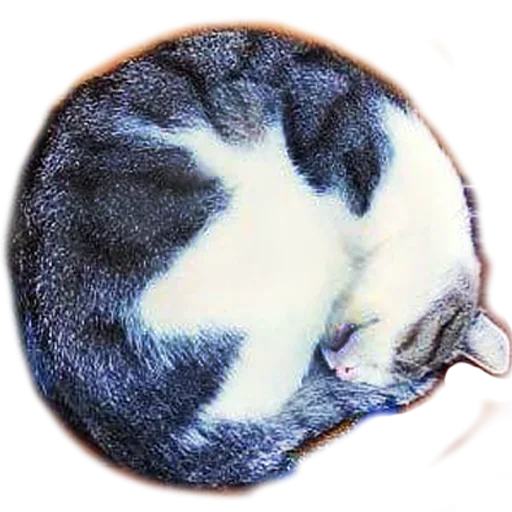 😑 Стикер «Sleepy» для Telegram