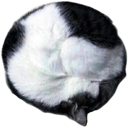 🥶 Стикер «Sleepy» для Telegram