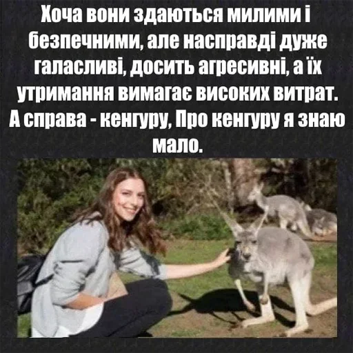 🇺🇦 Стикер «KurwaJaPerdole» для Telegram