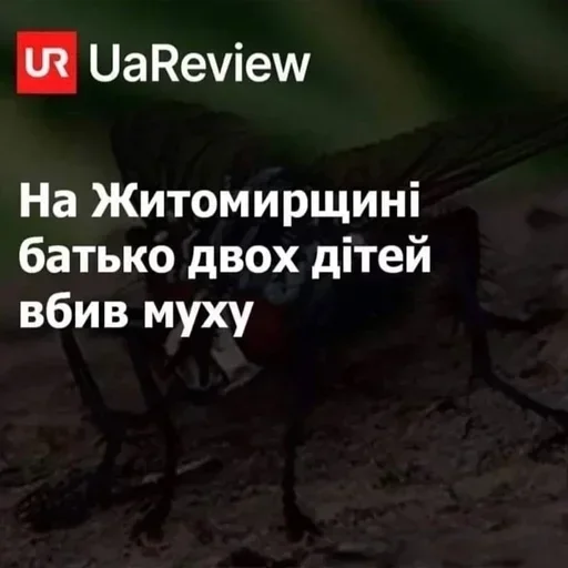 🇺🇦 Стикер «KurwaJaPerdole» для Telegram