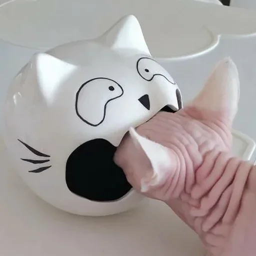 😐 Стикер «sphynx cat» для Telegram