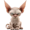 😤 Эмодзи «Кринжовый Сфинкс» для Telegram