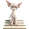 🤬 Эмодзи «Кринжовый Сфинкс» для Telegram