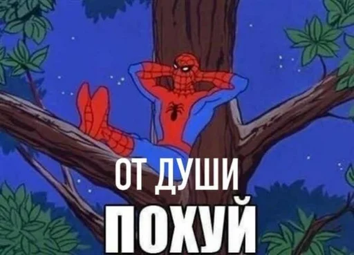 😝 Стикер «Spider poxuy» для Telegram
