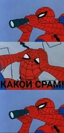🥴 Стикер «Spider poxuy» для Telegram