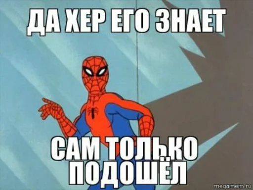 🤷‍♂ Стикер «Spider poxuy» для Telegram