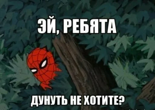 😏 Стикер «Spider poxuy» для Telegram