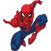 Стикер 14 Spider
