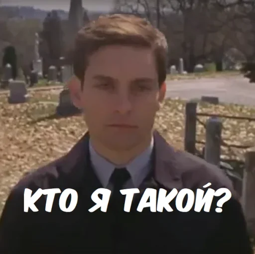 ❓ Стикер «Spider Men» для Telegram