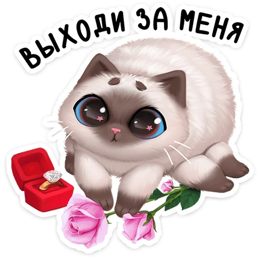 💍 Стикер «Паушка сплетёт паутинку в вашем кармашке и будет там мурчать» для Telegram