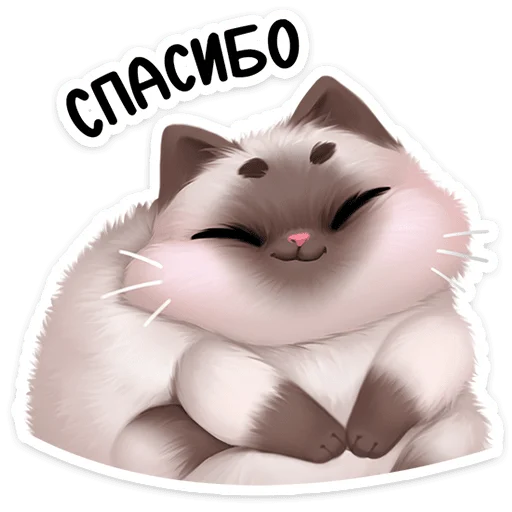 ☺️ Стикер «Паушка сплетёт паутинку в вашем кармашке и будет там мурчать» для Telegram
