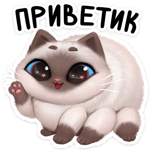 😥 Стикер «Паушка сплетёт паутинку в вашем кармашке и будет там мурчать» для Telegram