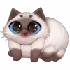 🙂‍↕️ Эмодзи «Паушка» для Telegram