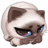 🥺 Эмодзи «Паушка» для Telegram