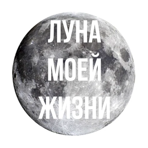 🌙 Стикер «luna stickers ?» для Telegram