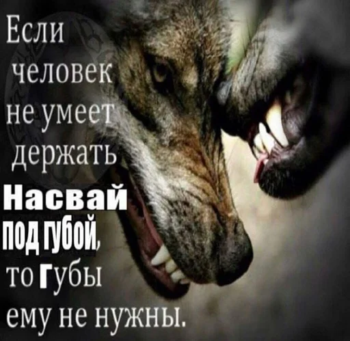 ☝️ Стикер «Спизженные пикчи и стикеры для личного пользования» для Telegram