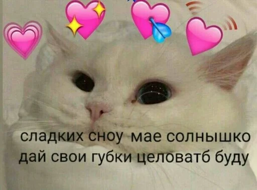 😘 Стикер «spokysa» для Telegram