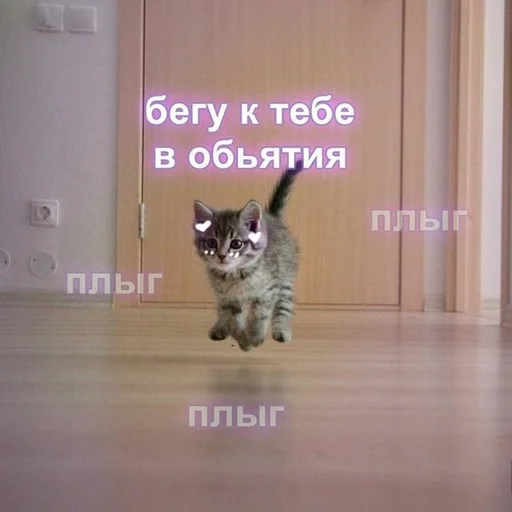 🚶‍♂ Стикер «spokysa» для Telegram