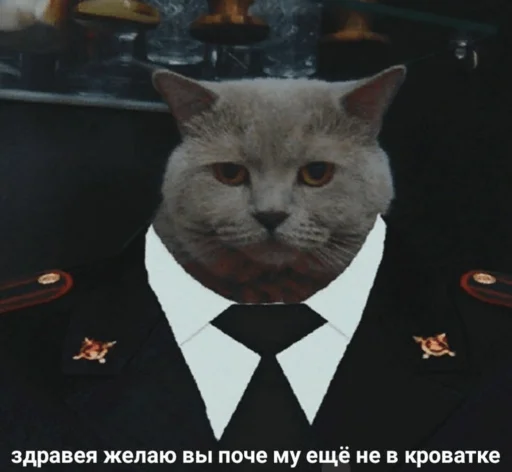 🤔 Стикер «spokysa» для Telegram