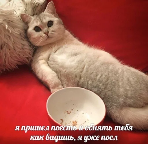 ❤️ Стикер «spokysa» для Telegram