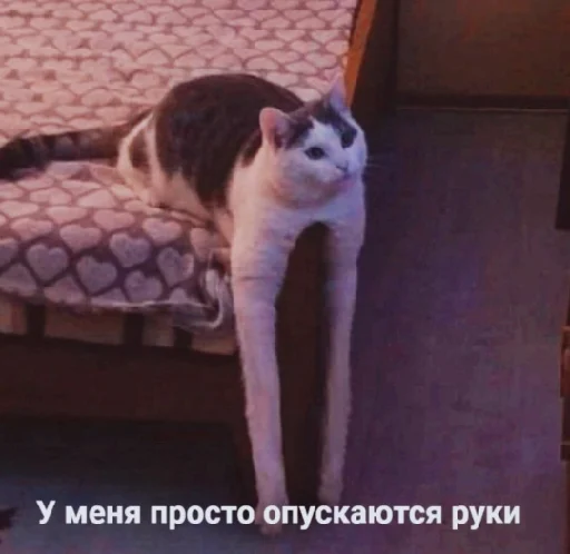 😢 Стикер «spokysa» для Telegram