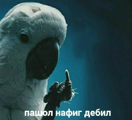 ☺️ Стикер «spokysa» для Telegram