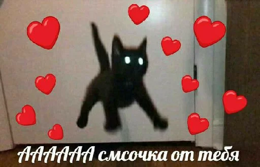 😳 Стикер «spokysa» для Telegram