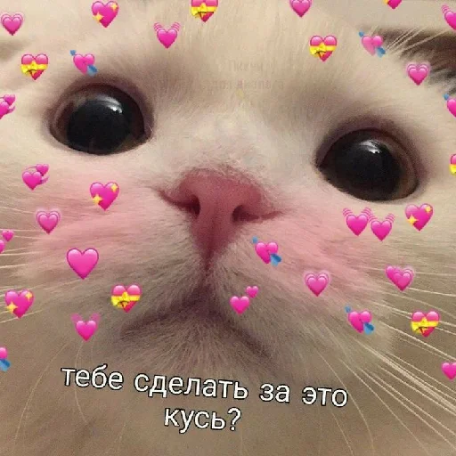 😊 Стикер «spokysa» для Telegram