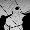 🏐 Эмодзи «Sport» для Telegram