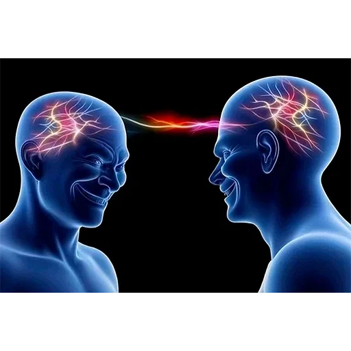 🧠 Стикер «Birds Memes» для Telegram