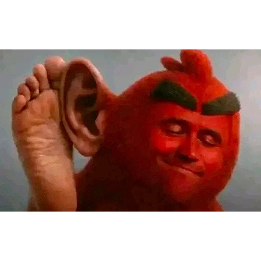 👂 Стикер «Birds Memes» для Telegram