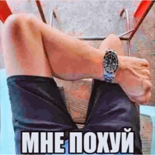 🕰️ Стикер «Birds Memes» для Telegram