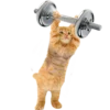 🏋️‍♂️ Эмодзи «Спорт» для Telegram