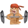 🏋️‍♂️ Эмодзи «Спорт» для Telegram
